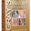 Gray’s Anatomy for Students 4th Edition