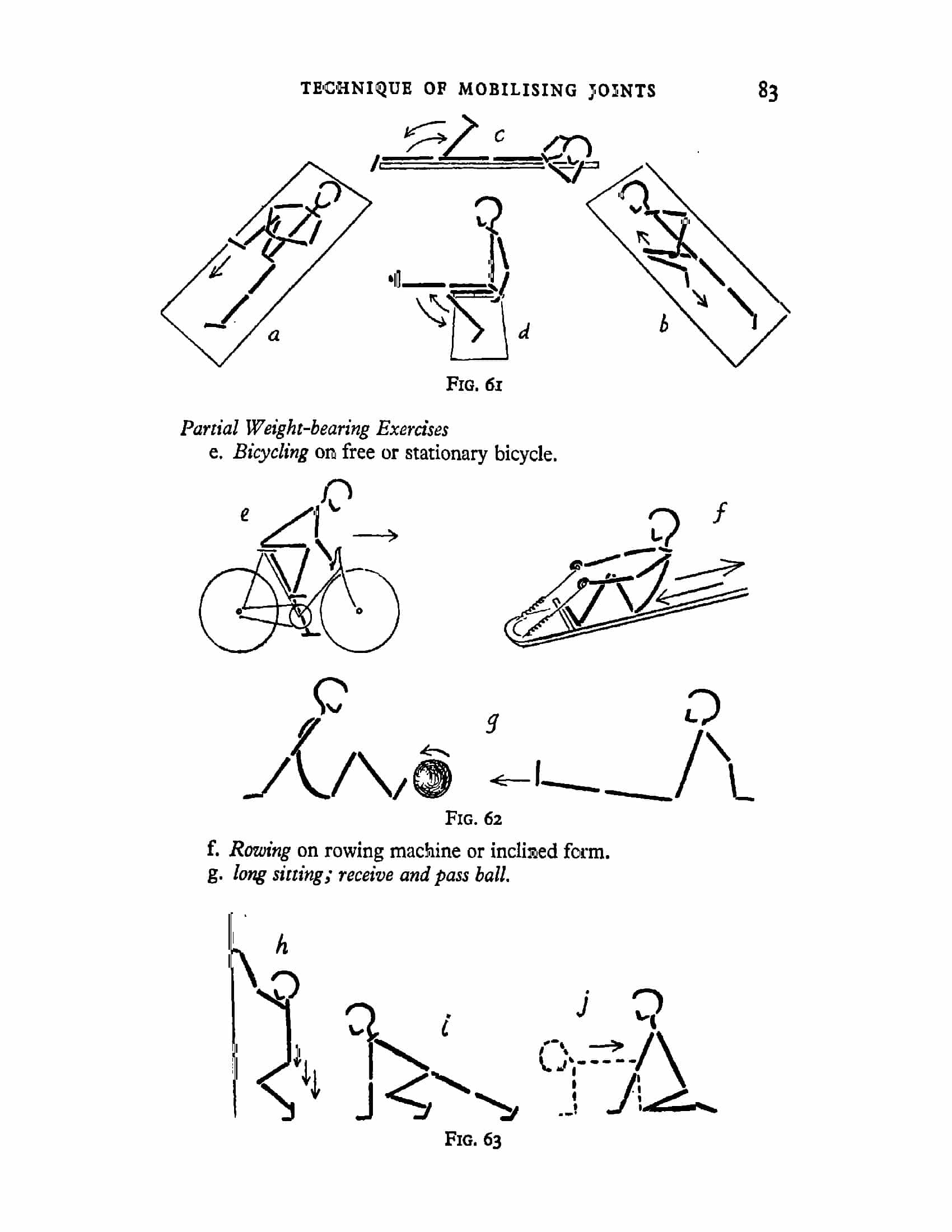 Dena Gardiner Kinesiology Get A Book