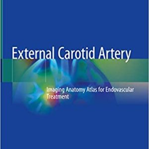 External Cartoid Artery Imaging Anatomy Atlas for Endovascular Treatment
