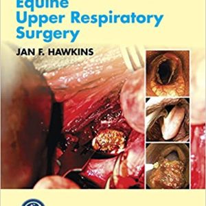 Advances in Equine Upper Respiratory Surgery