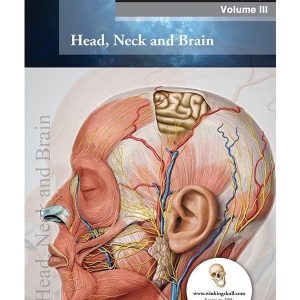 THIEME ANATOMY-VOLUME 3, HEAD, NECK AND BRAIN