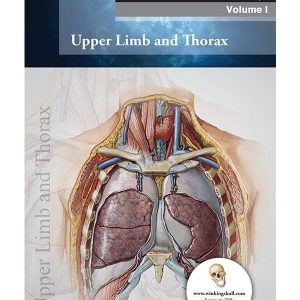 THIEME ANATOMY: VOLUME 1 UPPER LIMB AND THORAX