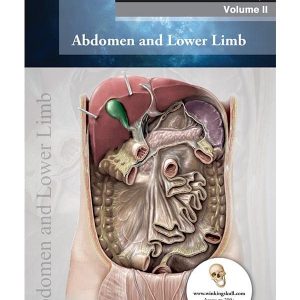 THIEME ANATOMY: VOLUME 2 ABDOMEN AND LOWER LIMB